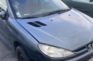 Vitre arriere droit PEUGEOT 206
