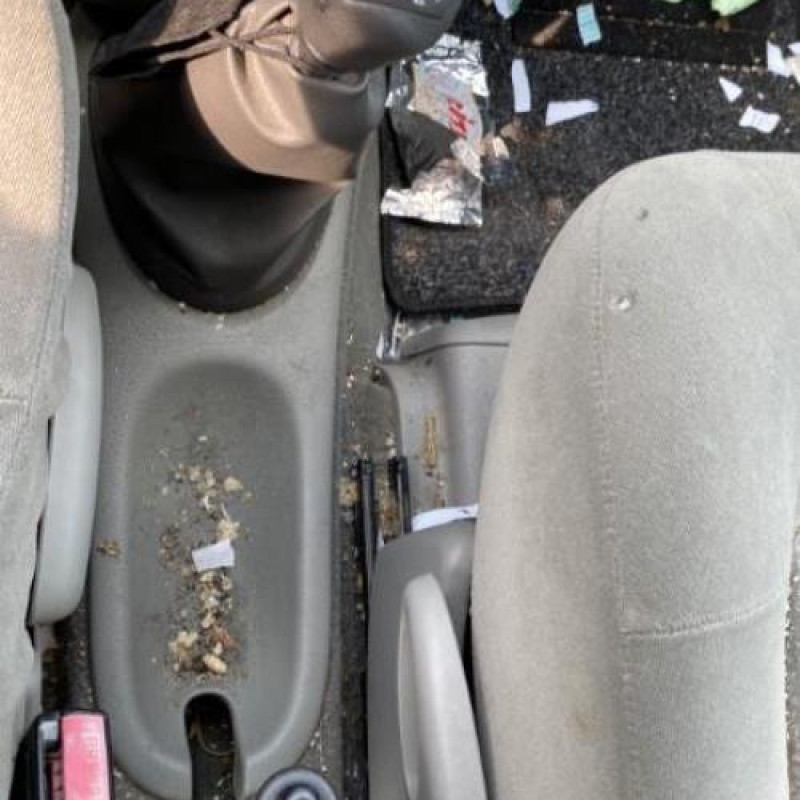 Serrure arriere gauche RENAULT SCENIC 1 Photo n°6