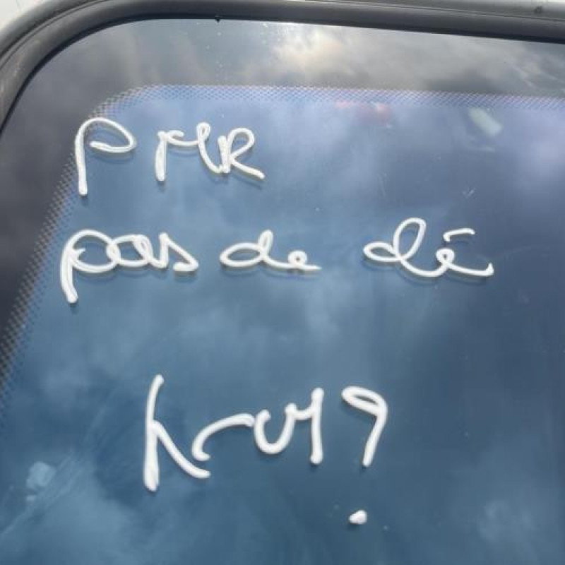Serrure arriere gauche RENAULT SCENIC 1 Photo n°11