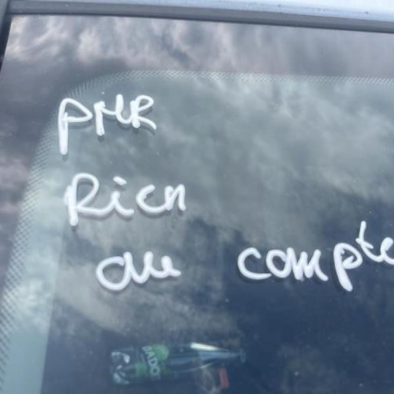 Pulseur d'air RENAULT CLIO 3 Photo n°9