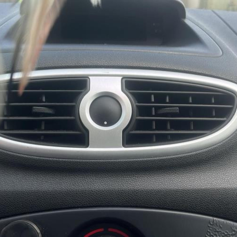 Pulseur d'air RENAULT CLIO 3 Photo n°11