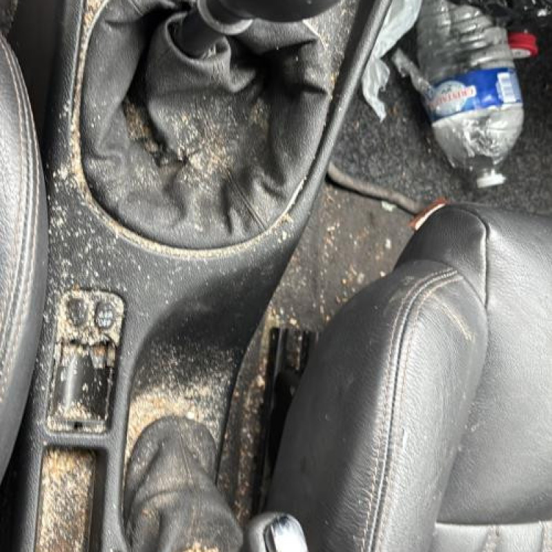 Serrure avant gauche ALFA ROMEO 147 Photo n°20