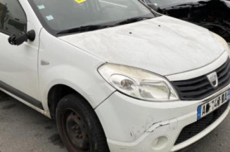 Custode arriere gauche (porte) DACIA SANDERO 1