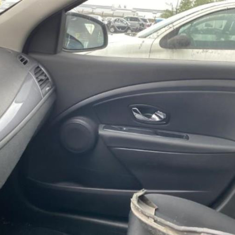 Custode arriere gauche (porte) RENAULT MEGANE 3 Photo n°13