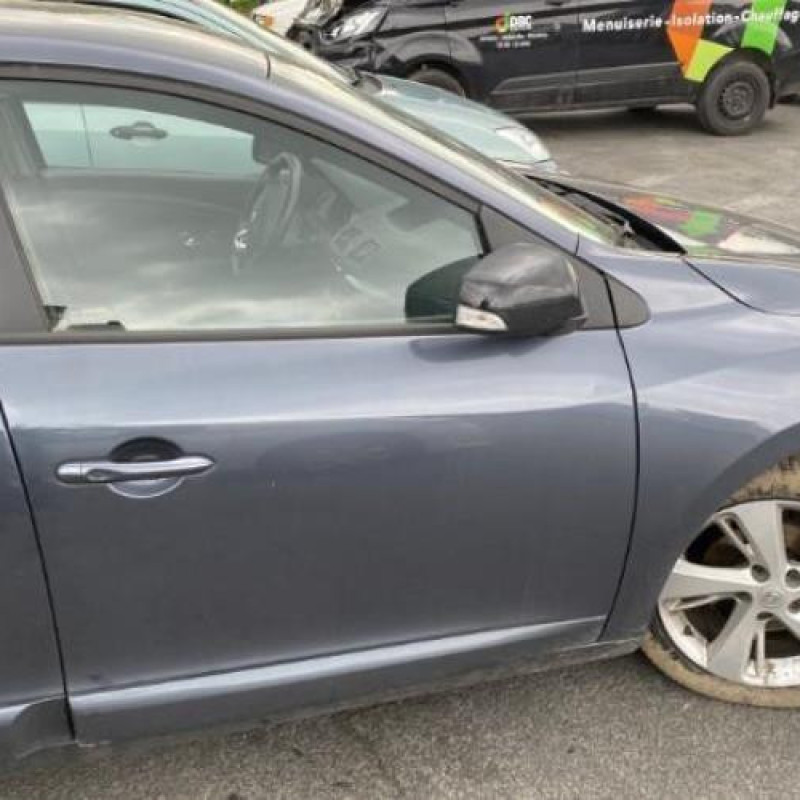 Custode arriere gauche (porte) RENAULT MEGANE 3 Photo n°14