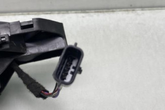Poignee porte avant droit RENAULT MEGANE 3