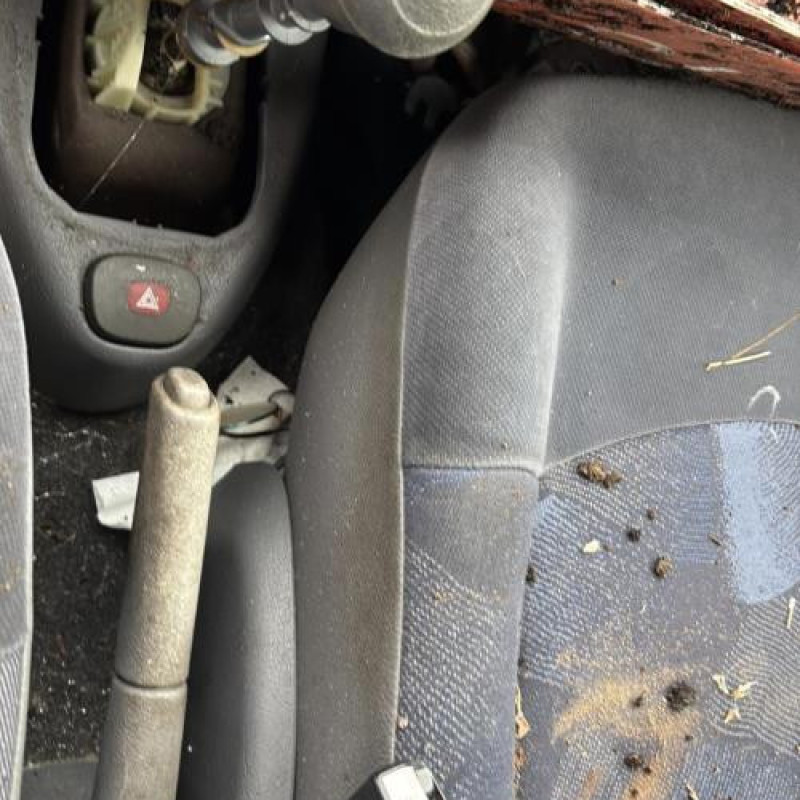 Calandre RENAULT CLIO 2 Photo n°14