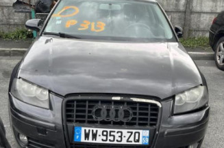 Porte avant gauche AUDI A3 2
