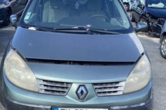 Jante RENAULT SCENIC 2