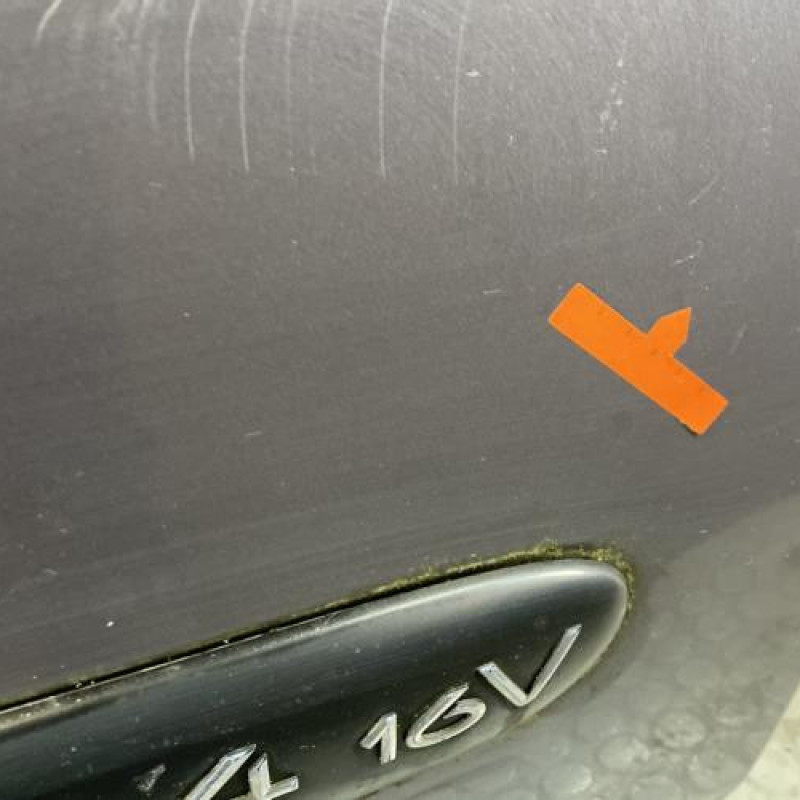 Porte avant droit RENAULT CLIO 2 Photo n°3