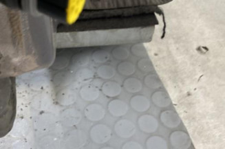 Porte avant droit RENAULT CLIO 2
