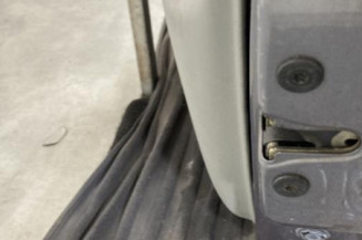 Porte avant droit RENAULT CLIO 2