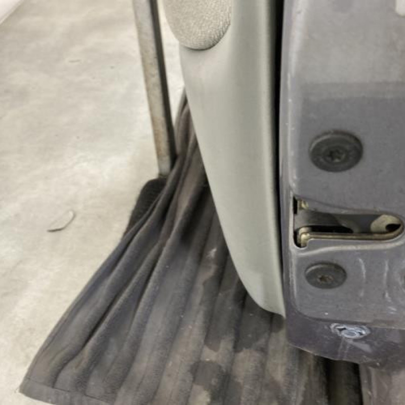 Porte avant droit RENAULT CLIO 2 Photo n°6