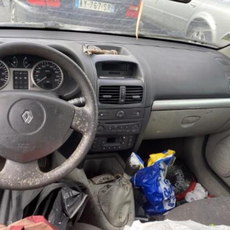 Porte avant droit RENAULT CLIO 2 Photo n°9