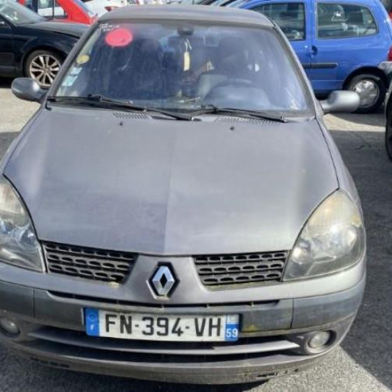 Porte avant droit RENAULT CLIO 2 Photo n°11