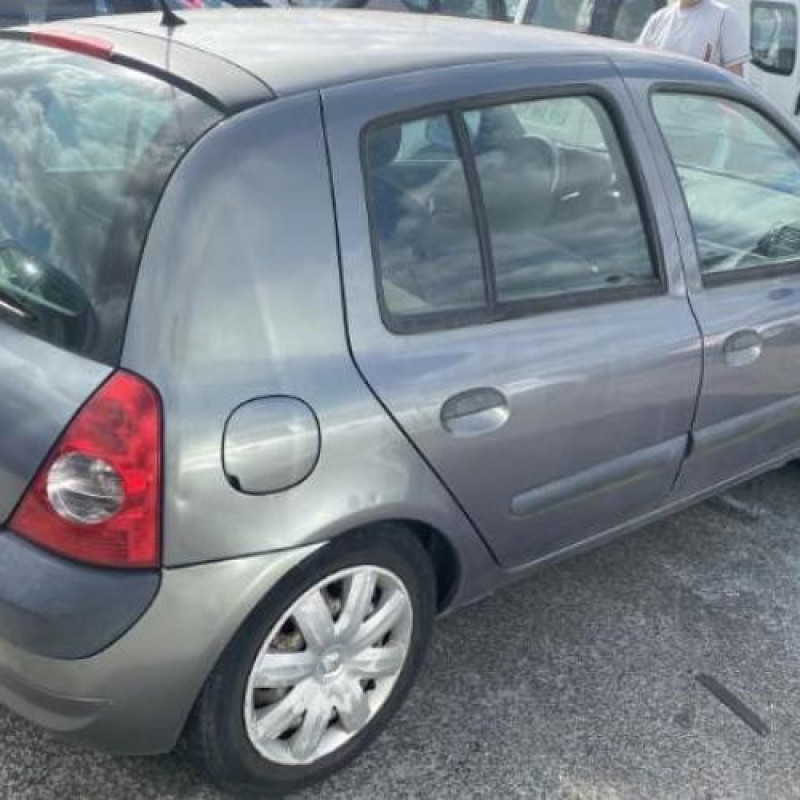 Porte avant droit RENAULT CLIO 2 Photo n°12
