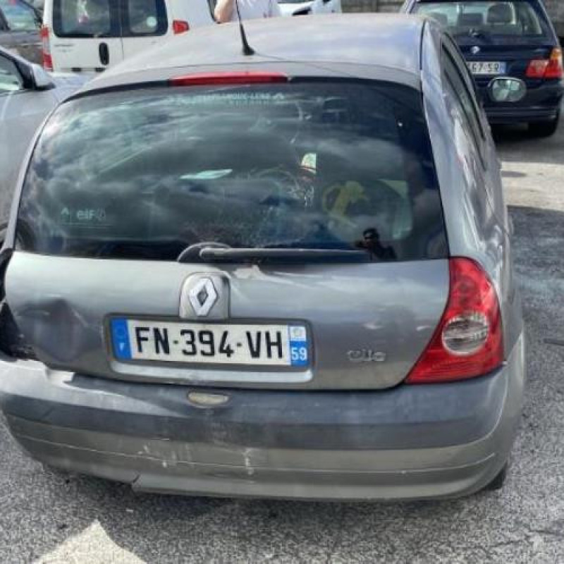 Porte avant droit RENAULT CLIO 2 Photo n°13