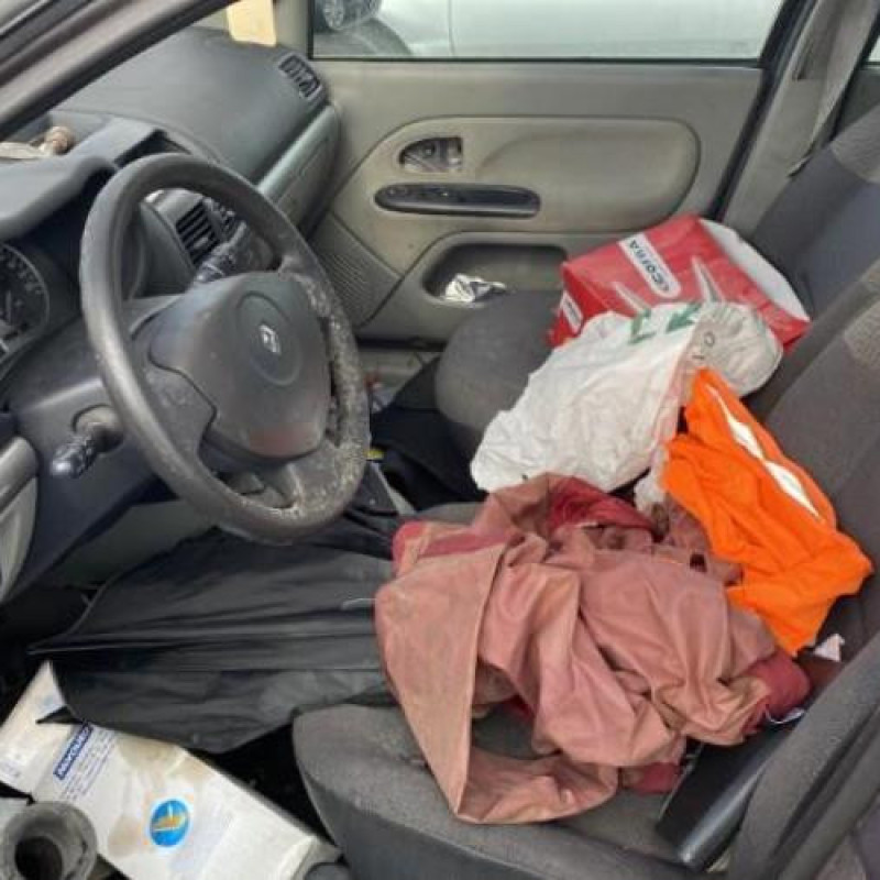 Porte avant droit RENAULT CLIO 2 Photo n°15