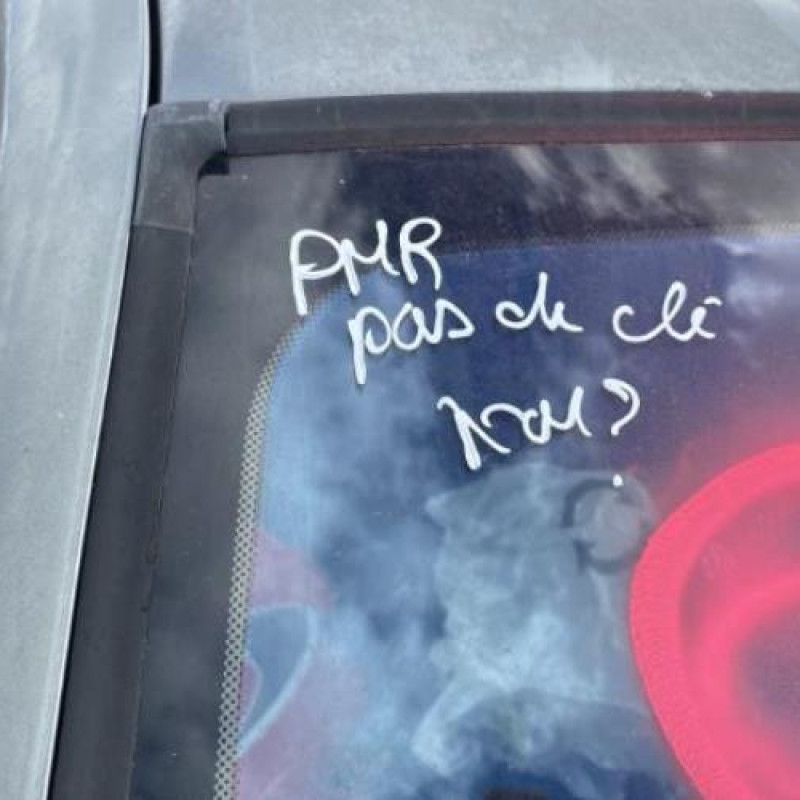 Porte avant droit RENAULT CLIO 2 Photo n°18