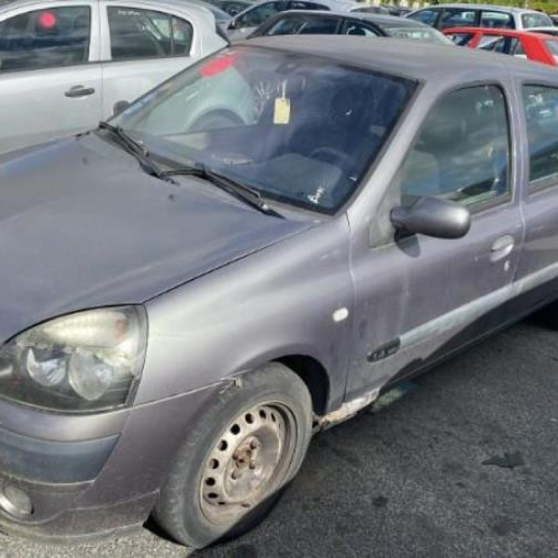Porte avant droit RENAULT CLIO 2 Photo n°19