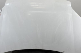 Capot PEUGEOT PARTNER 1 Photo n°1