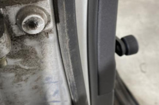 Porte arriere droit VOLKSWAGEN POLO 4
