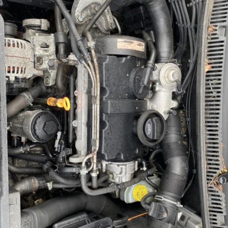 Porte arriere droit VOLKSWAGEN POLO 4 Photo n°12