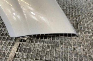 Aile avant droit RENAULT MEGANE 2