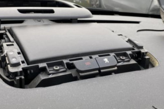 Jante PEUGEOT 3008 1