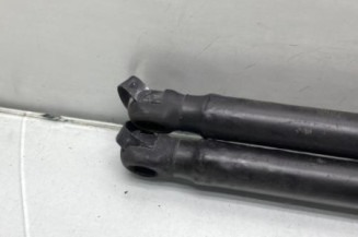 Verin de coffre CITROEN C3 1