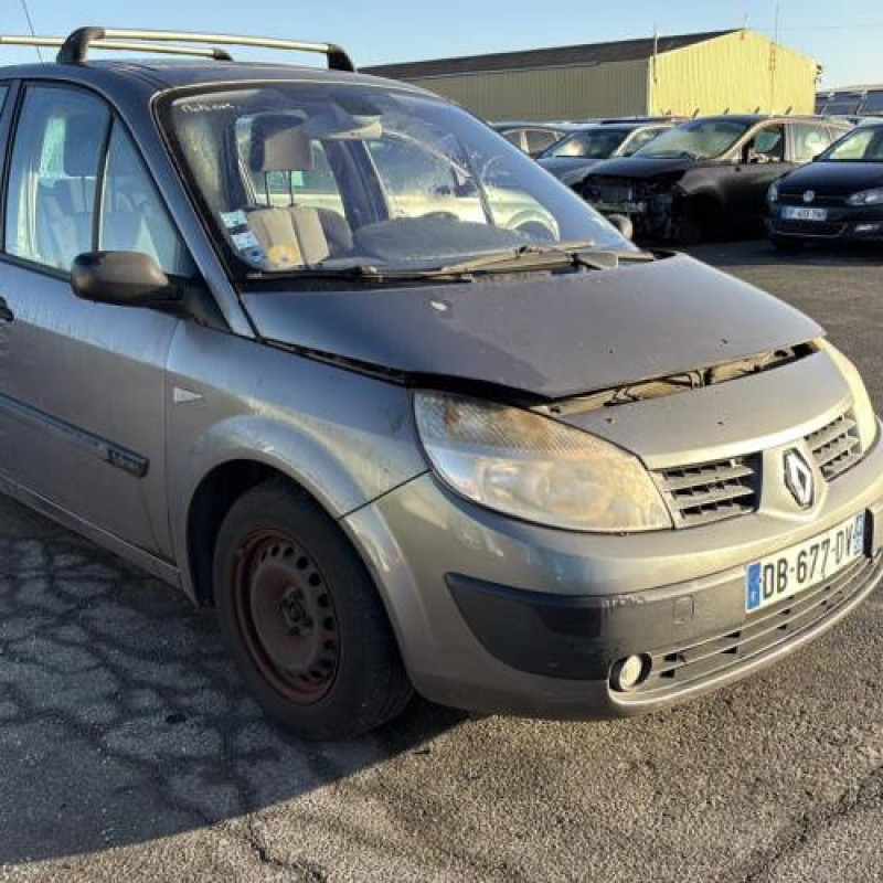 Poignee porte avant gauche RENAULT SCENIC 2 Photo n°1