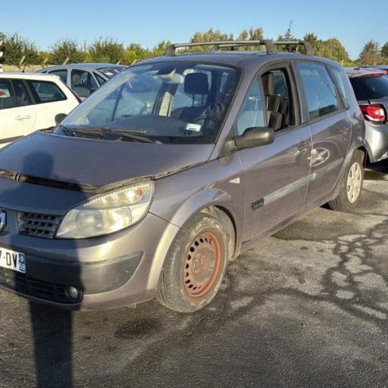 Poignee porte avant gauche RENAULT SCENIC 2 Photo n°10