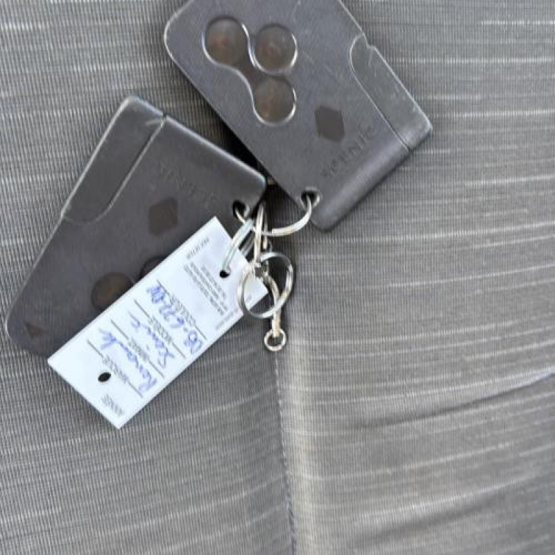 Poignee porte avant gauche RENAULT SCENIC 2 Photo n°13