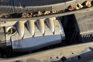 Poignee porte avant gauche RENAULT SCENIC 2