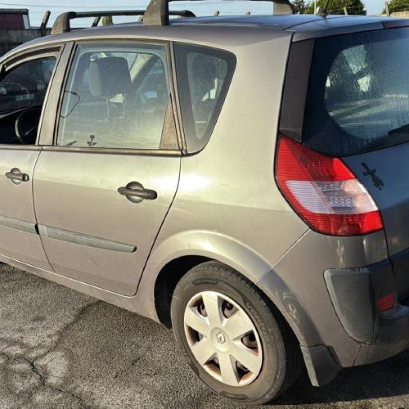 Poignee porte avant gauche RENAULT SCENIC 2 Photo n°20