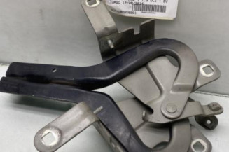 Charniere de capot RENAULT CLIO 4