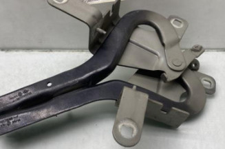Charniere de capot RENAULT CLIO 4