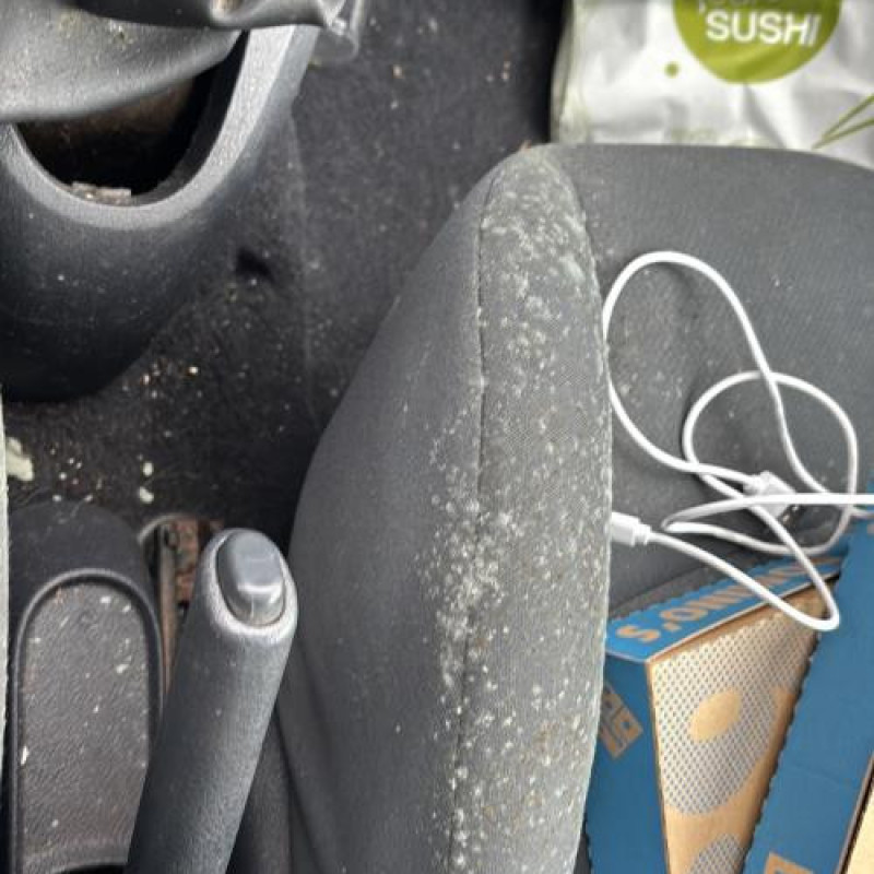 Crochet de remorquage RENAULT CLIO 2 Photo n°16