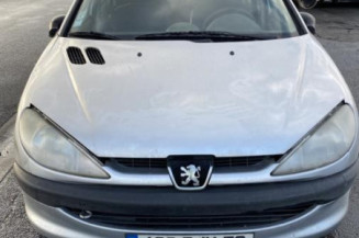 Vitre avant droit PEUGEOT 206
