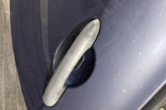 Porte arriere gauche RENAULT CLIO 3