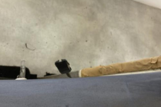 Porte arriere gauche RENAULT CLIO 3