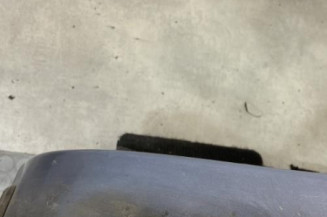 Porte arriere gauche RENAULT CLIO 3