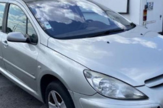 Porte arriere droit PEUGEOT 307