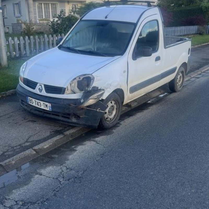 Poignee interieur avant gauche RENAULT KANGOO 1 Photo n°7