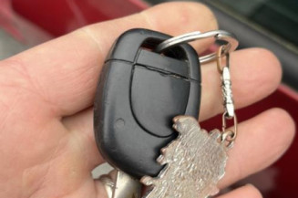 Baguette de porte avant gauche RENAULT CLIO 2