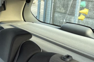 Pivot de moyeu avant gauche RENAULT SCENIC 2