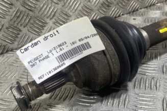 Cardan droit (transmission) PEUGEOT 307