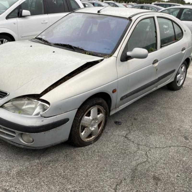 Neiman RENAULT MEGANE 1 Photo n°4