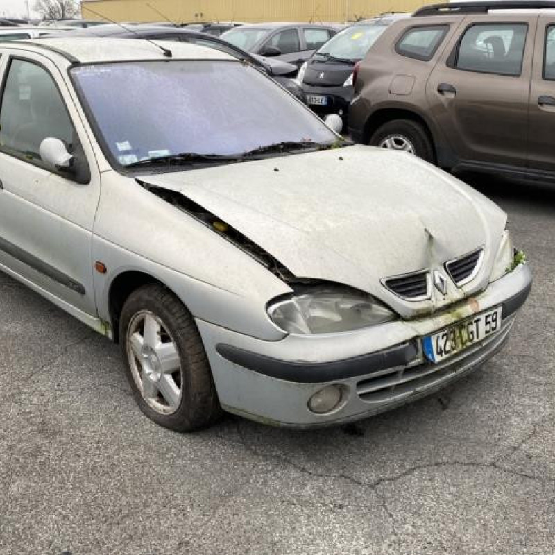 Neiman RENAULT MEGANE 1 Photo n°5