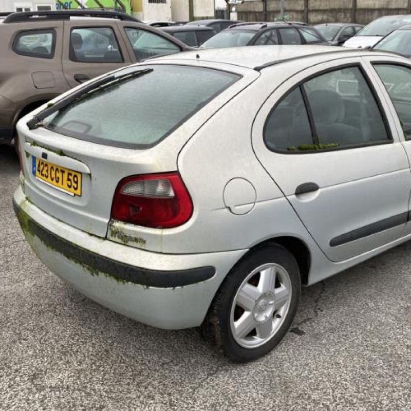 Neiman RENAULT MEGANE 1 Photo n°6